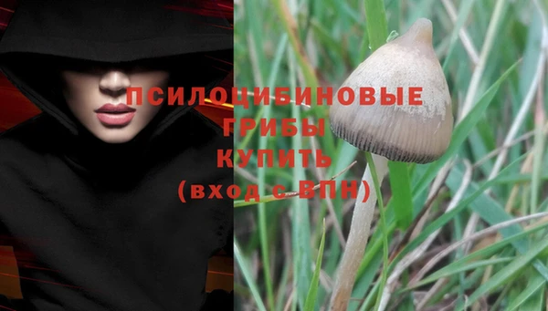 ешки Горняк