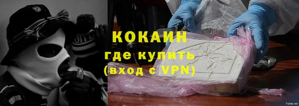 ешки Горняк