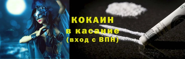ешки Горняк