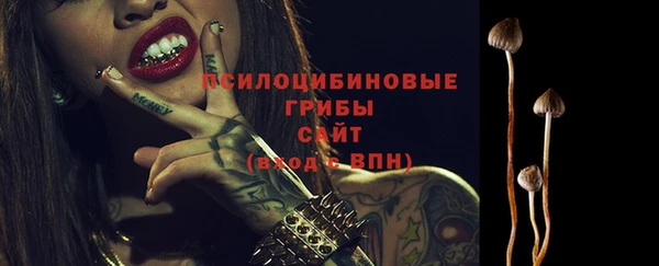 хмурый Горнозаводск