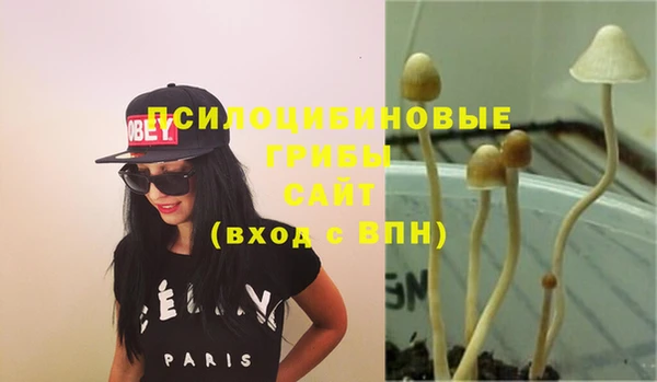 хмурый Горнозаводск