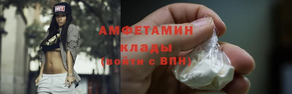 ешки Горняк