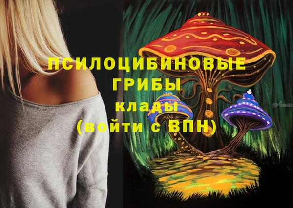 хмурый Горнозаводск