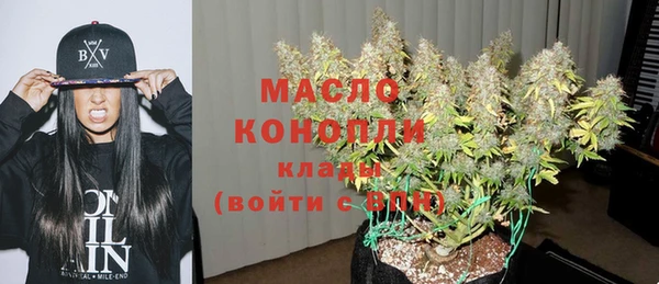 ешки Горняк
