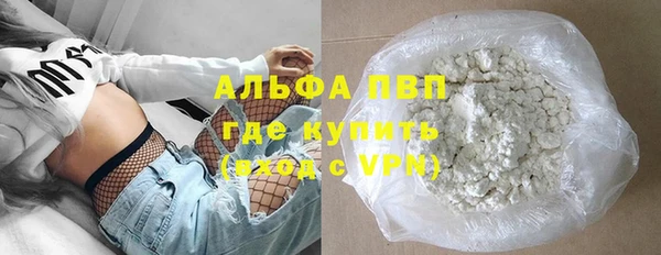 ешки Горняк
