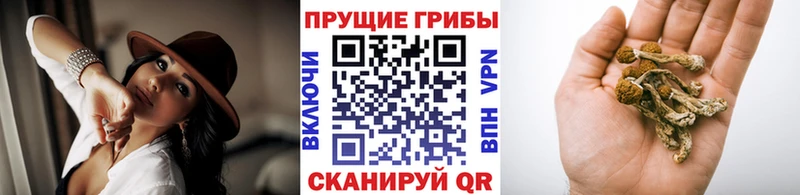 Псилоцибиновые грибы Magic Shrooms  hydra ONION  Талдом 